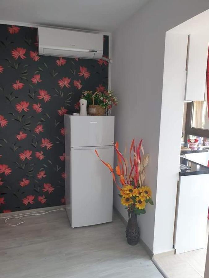 Apartament Alina Saturn Bagian luar foto
