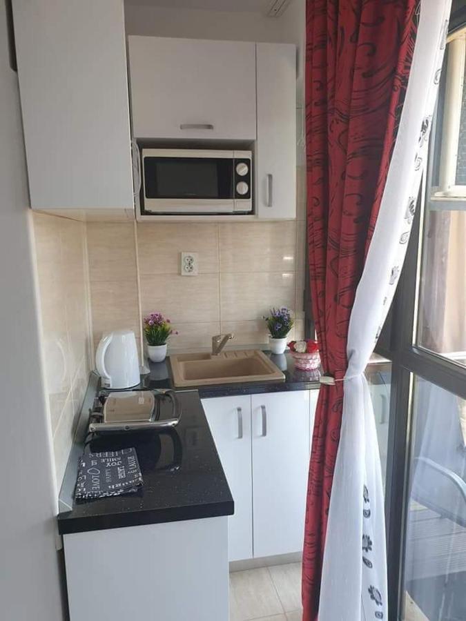 Apartament Alina Saturn Bagian luar foto