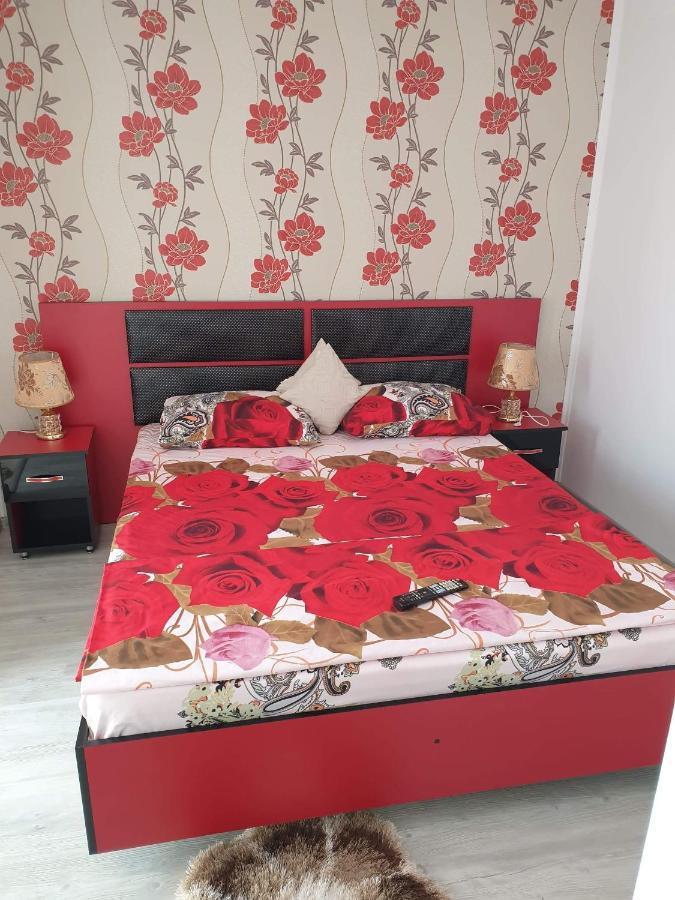 Apartament Alina Saturn Bagian luar foto
