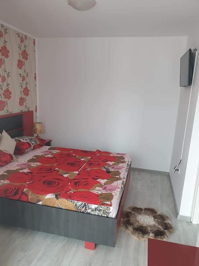 Apartament Alina Saturn Bagian luar foto