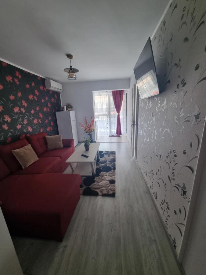 Apartament Alina Saturn Bagian luar foto