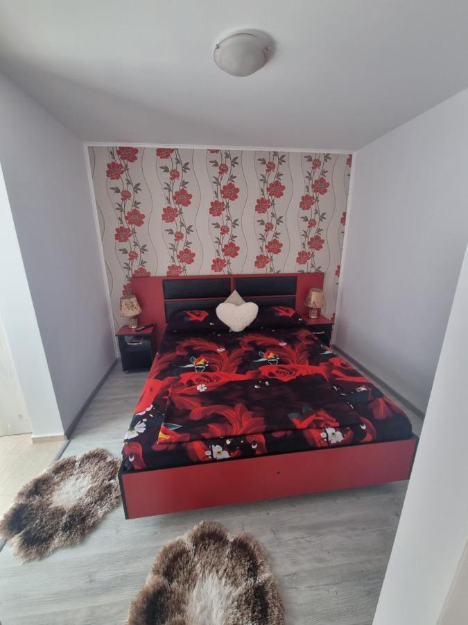 Apartament Alina Saturn Bagian luar foto